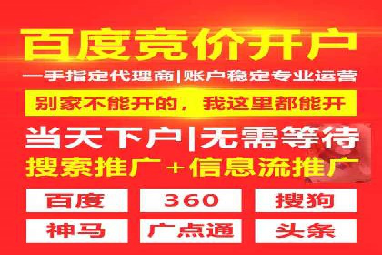 百度竞价代运营公司成功案例揭秘：策略与执行