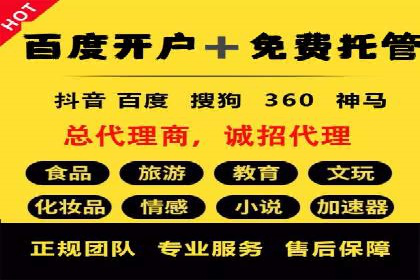 行业领先的SEM竞价广告投放案例